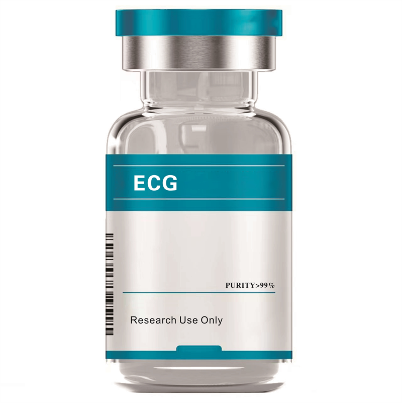 ECG